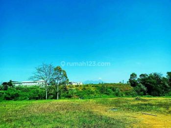 Tanah murah di jln alternatif gadog ciawi puncak bogor
