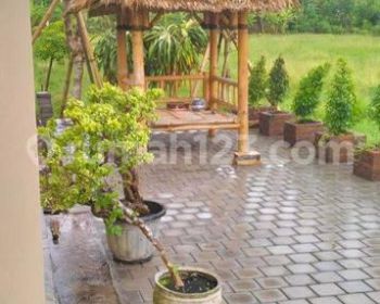 Villa view sawah penyaringan Sanur Denpasar Bali Indonesia