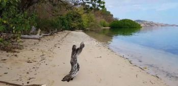 Tanah Dijual di Labuan Bajo Investasi Yang Bagus Luas 4.4 Ha