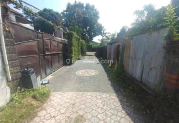 Jual tanah premium 270 m2 di jalan utama canggu, dekat Pepito