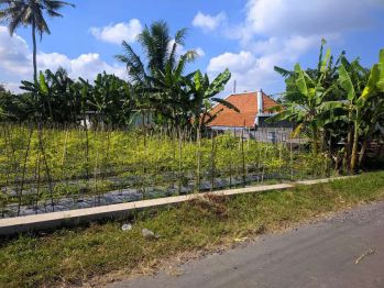 Disewakan tanah murah Cocok untuk resto,gudang di jl palagan km 12