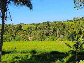 Tanah murah view sawah terasering dan bukit di tabanan bali