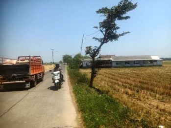 cafe besar jl PU pecanggaan kulon Wates Troso kidol