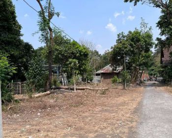 Sell Tanah: Tanah pekarangan