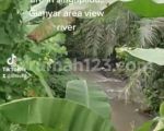 thumbnail-tanah-los-sungai-view-jungle-keren-di-ubud-area-6