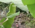 thumbnail-tanah-los-sungai-view-jungle-keren-di-ubud-area-9