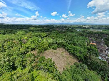 Dekat Smp N 1 Tempuran, SHM Pekarangan Langsung Balik Nama