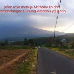 thumbnail-la990-dijual-cepat-tanah-dikaki-gunung-merbabu-kawasan-hijau-1