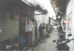 thumbnail-jual-rumah-murah-jalan-gang-mawar-kedung-baruk-rungkut-surabaya-6