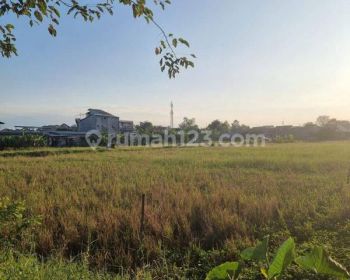 Tanah di Raya Lingkar Timur, Sidoarjo Area Industri Dan Komersial