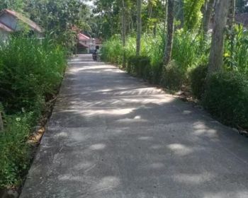 DI JUAL TANAH MURAH DAN STRATEGIS DI PANJATAN KULON PROGO