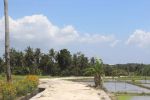 thumbnail-disewakan-tanah-32are-pererenan-mengwi-masuk-lewat-raya-canggu-bu-2