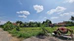 thumbnail-siap-balik-nama-tanah-villa-yogyakarta-view-sawah-shm-p-ready-5