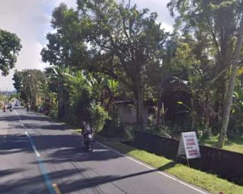 Tanah di jalan utama luwus baturiti seluas 2400m2