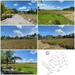 thumbnail-dijual-tanah-di-yeh-gangga-tabanan-dekat-ke-pantai-view-sawah-2