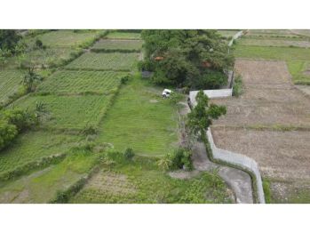 Jual tanah sanur denpasar dengan lt 500 m2