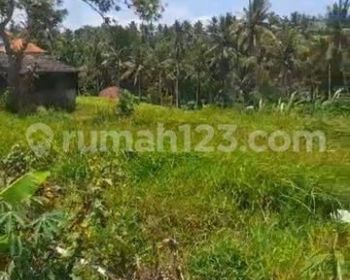 TANAH VIEW SAWAH JUNGLE SUNGAI COCOK RESORT DAN HOTEL