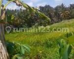 thumbnail-tanah-view-sawah-jungle-sungai-cocok-resort-dan-hotel-8