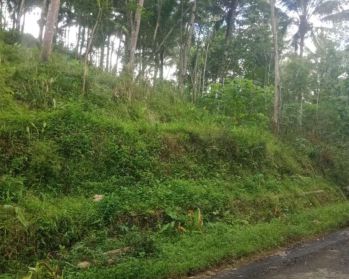 JUAL TANAH KULONPROGO DI KOKAP LUAS MURAH