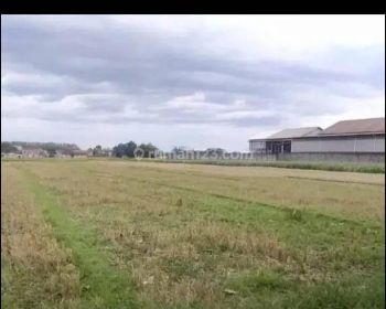 Dijual Tanah Industri Luas 6 Ha Lokasi Ceper Klaten