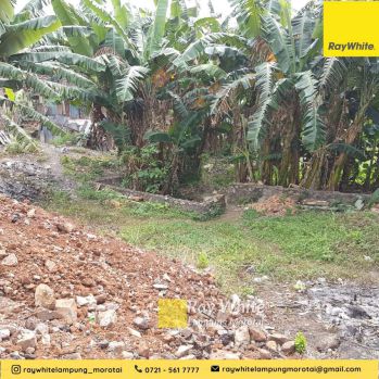 Dijual Tanah di Sepang Jaya Kedaton Bandar Lampung (kode: yoniz269)