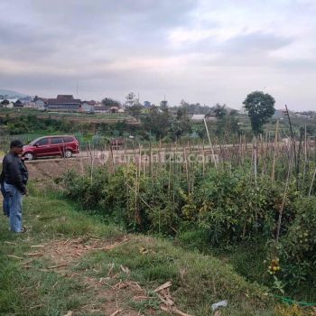 Tanah subur DAN strategis di Sumberejo Batu