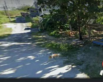 Dijual tanah murah ,2,40 are di Kuta Selatan dekat jalan Dharmawangsa