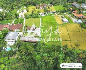 Dijual Tanah Hak Milik Seluas 33 Are Dekat Sentral Ubud di Peliatan Ubud Bali.