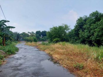 Dijual kavling harga banting dibawah NJOP at Pancoran Jaksel