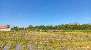 Dijual tanah 1231 m² Pamekasan, Madura