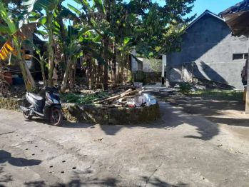 Pekarangan di mangsel, seyegan