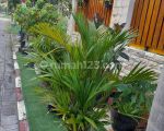 thumbnail-rumah-bagus-di-bpd-semarang-5