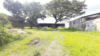 Tanah Luas 3000 M2 Termurah di Kota Yogyakarta