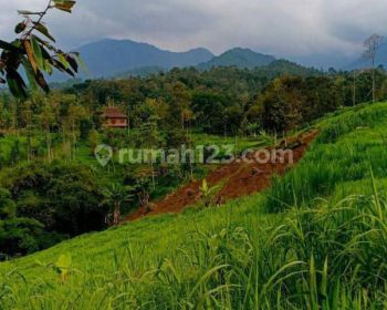 JUAL Tanah di Wonosalam, Jombang Jawa Timur, SHM On-Hand