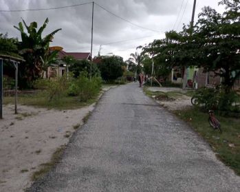 Jual cepat Tanah sawit sialang buah dekat tol teluk mengkudu