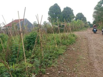 Tanah di Cimahi Utara Jl. Kolonel Masturi