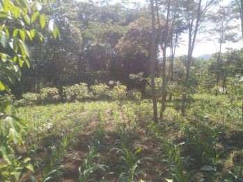 JUAL TANAH ARJASARI BANJARAN