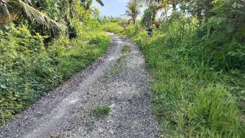 jual tanah 19,9 are harga 200 jt/are pasut