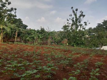 Tanah Strategis di Jalan Utama Ampel Gading Kalisegoro Semarang