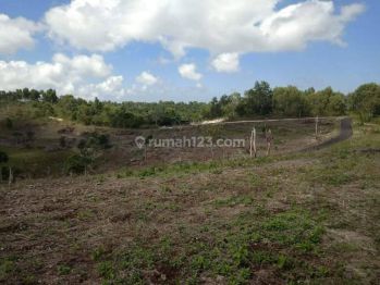 Hot List Di Jual Tanah Lokasi Nusa Penida Klungkung