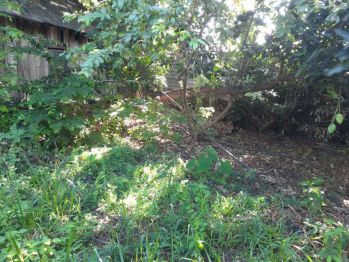 Dijual Tanah Lokasi Morowudi Cerme Gresik,