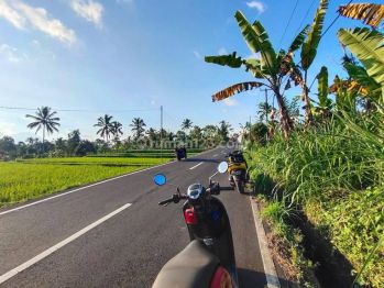 Di Jual Tanah di Ubud View Sawah Dan Sunset