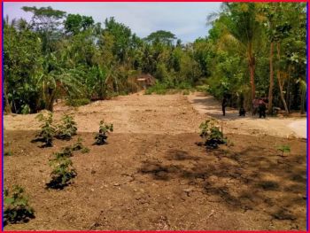 Jual Tanah Cerme Kulon Progo Dekat Polsek Panjatan