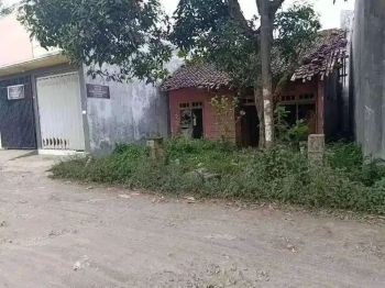 Tanah Kampus Prospek Kos-Kosan