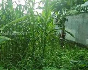 Tanah kavling di komplek keuangan fatmawati Cipete jakarta selatan