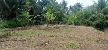 Tanah Mainroad Cocok Untuk Segala Usaha di Cijeungjing Ciamis