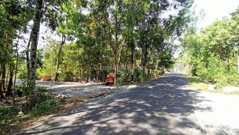 Tanah Murah Siap Bangun Dekat Polres Kulon Progo, Jogja