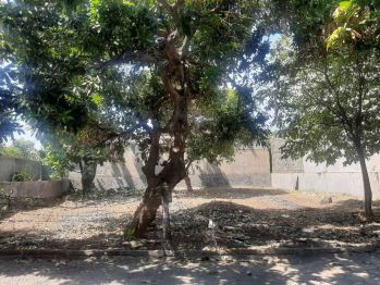 Dijual Tanah Kavling Jl Jatisari Indah II