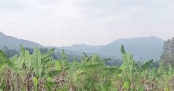 Lokasi Buat Villa / ternak kambing & ayam di sukabumi