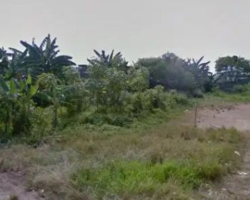 di lelang tanah..banyak bgn mangkrak lokasi sentul bogor